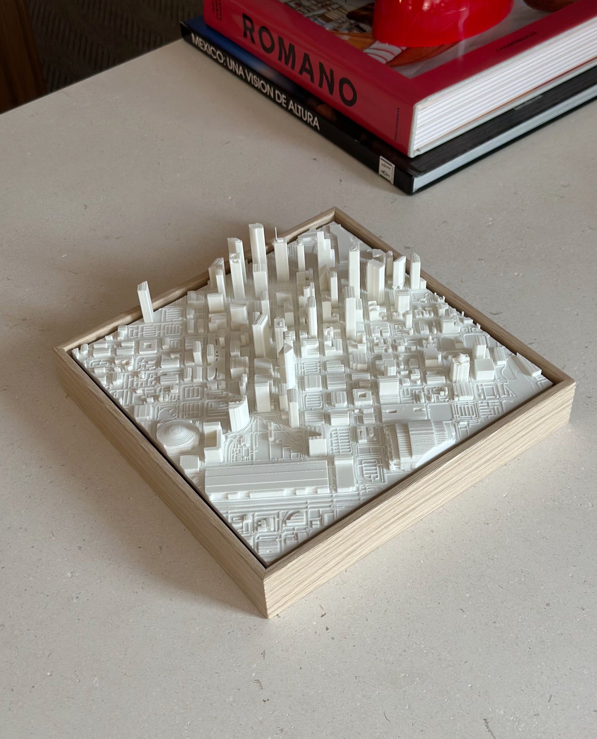 Houston Compact mapa 3D en relieve