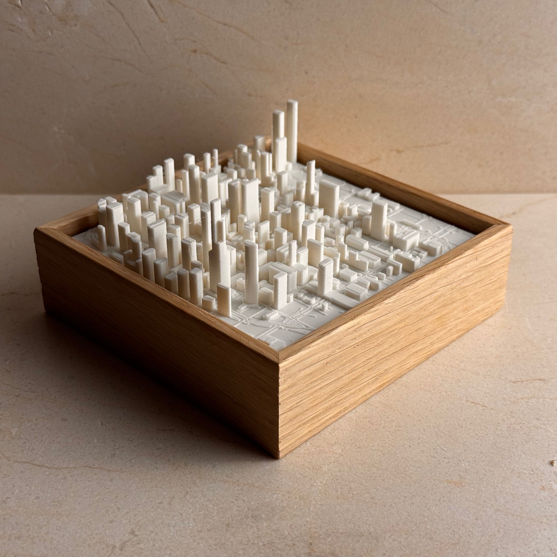 Chicago MINI mapa 3D en relieve