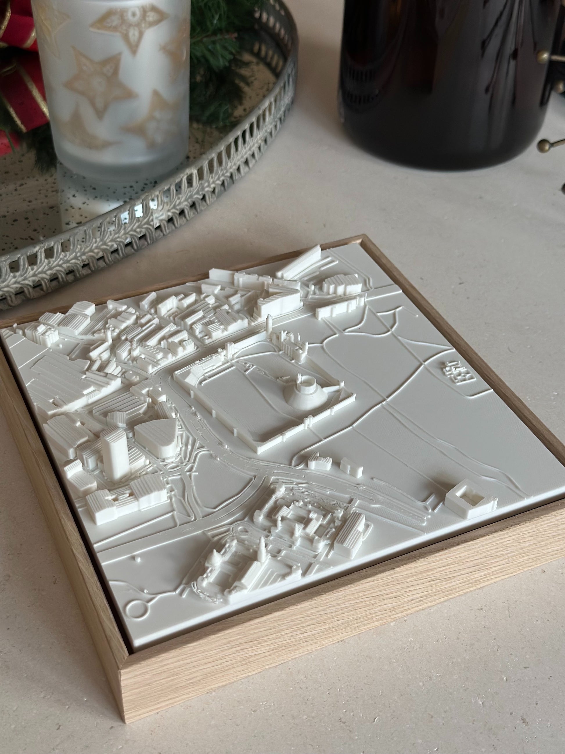 Cardiff Compact mapa 3D en relieve