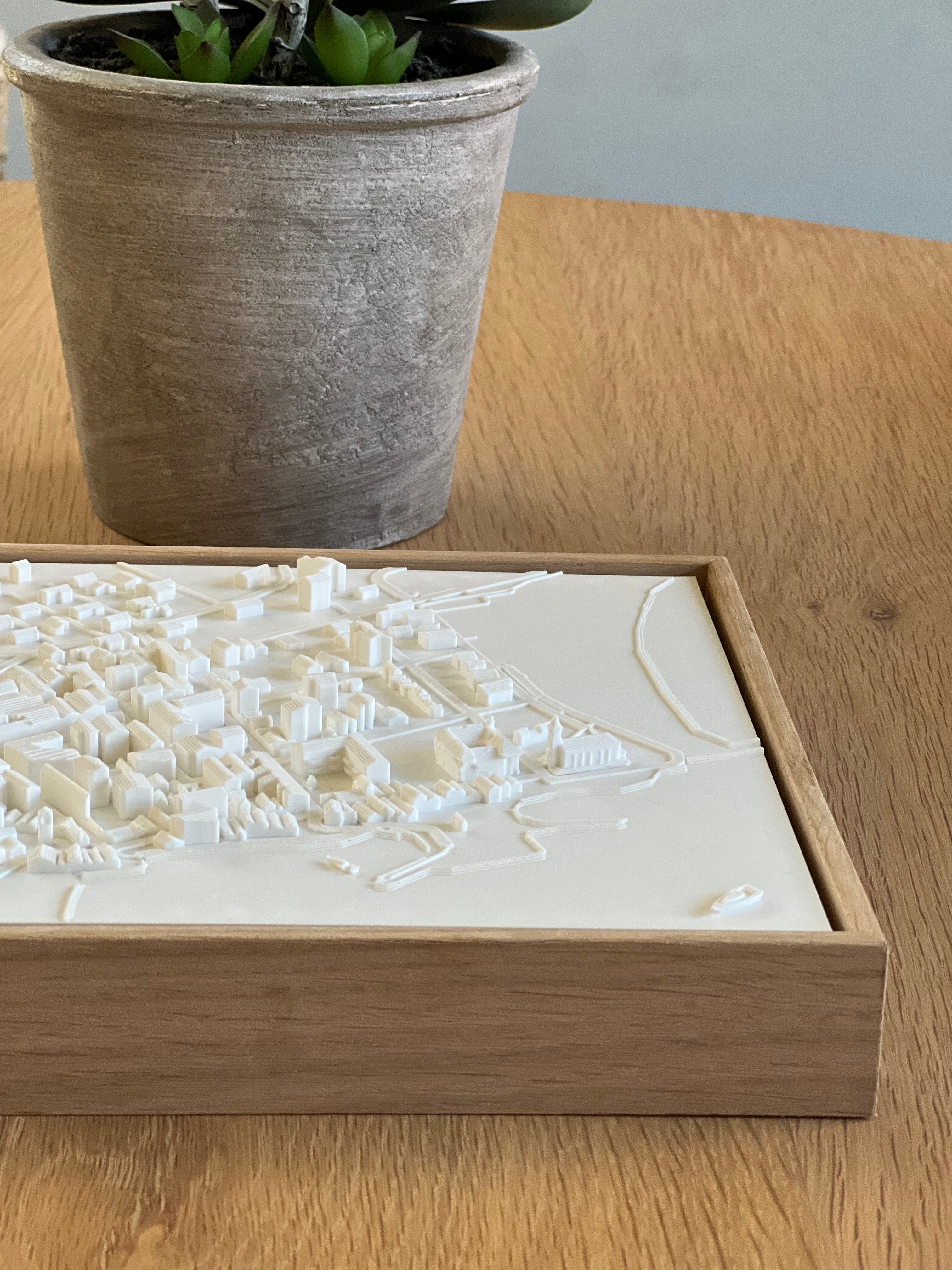 3D city map wall art in wooden frame on table with potted plant decor